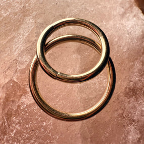 Titanium Gold / Silver ring