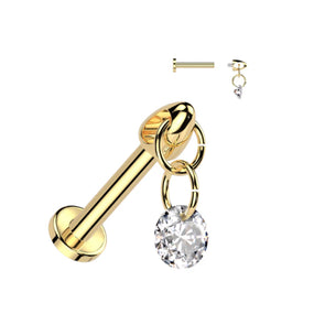 Titanium Dangle