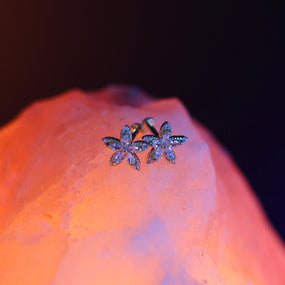 Surgical Marquise Flower