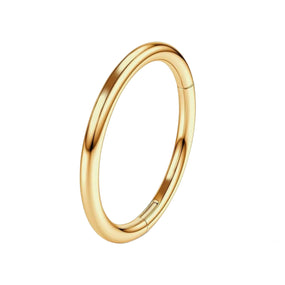 Titanium Gold / Silver ring