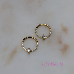 Titanium Gold Ring