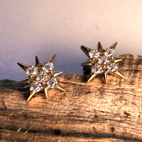 Titanium Gold Star Earring