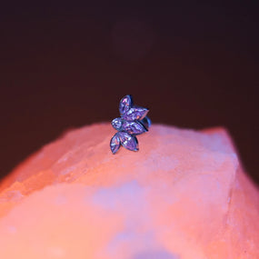 Titanium Pink Lotus