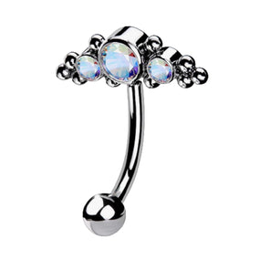 Titanium Curved Barbell