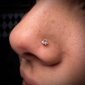 Titanium Labret Silver
