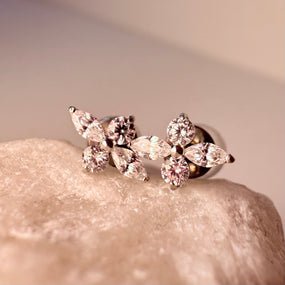 Titanium Silver Earring