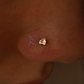 Titanium Gold Labret