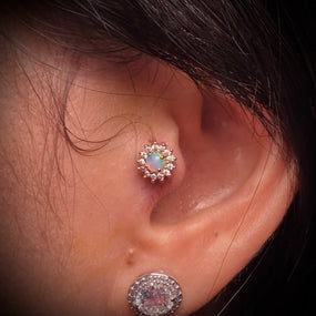 Titanium Sunflower Opal Labret