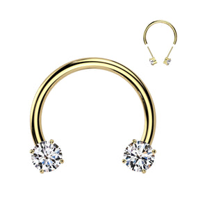 Titanium Gold HorseShoe