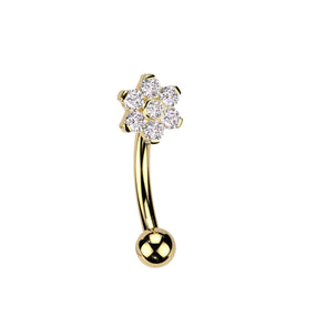 Titanium Gold Curved Barbell