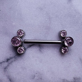 Titanium Nipple Barbell
