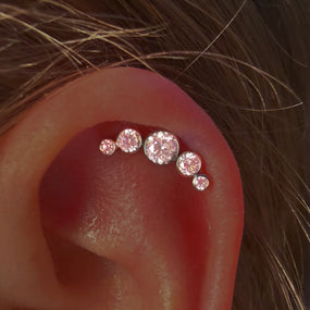 Titanium Silver 5 Diamonds Labret