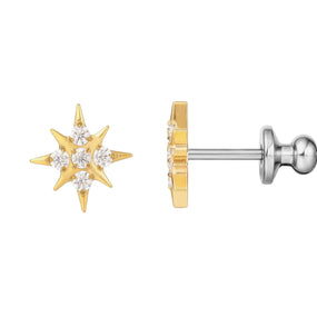 Titanium Gold Star Earring
