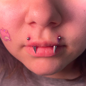 Titanium Spike Curved Barbell