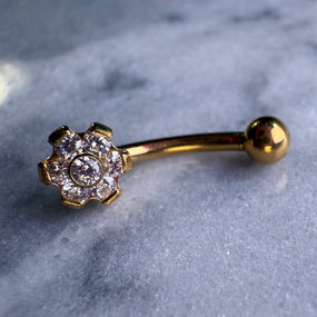 Titanium Gold Curved Barbell