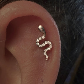 Titanium Silver Labret Diamond Snake