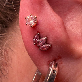 Titanium Pink Lotus