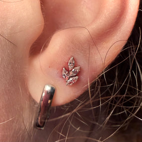 Titanium Earring Silver Leaf
