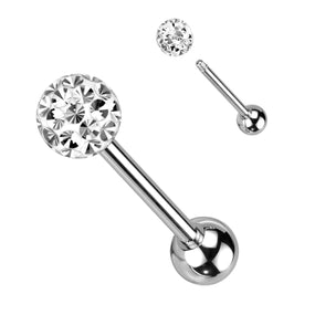 Titanium 1 Disco Barbell