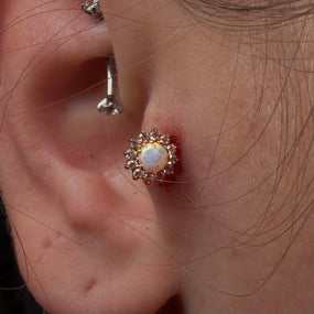 Titanium Sunflower Opal Labret