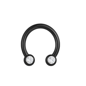 Titanium Black Diamond Horse Shoe