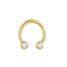 Titanium Gold Diamond Horse Shoe