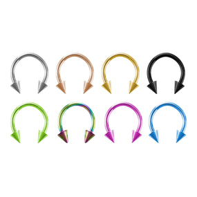 Titanium Color Spike Horse Shoe