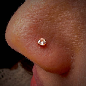 Titanium Gold Labret