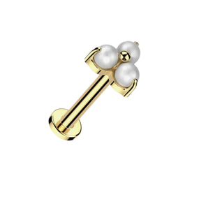 Titanium Gold Pearls Labret