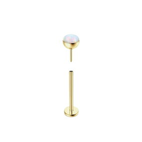 Titanium Opal Gold Labret