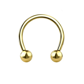 Titanium Gold Horse Shoe